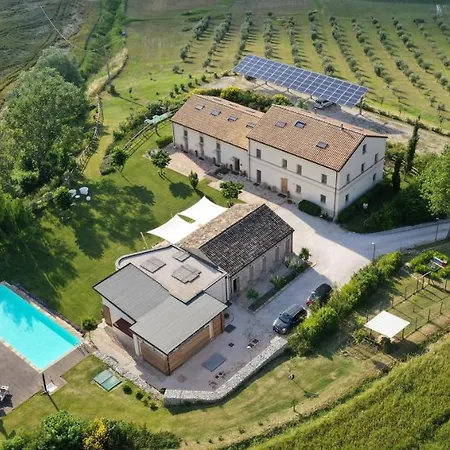 Il Gallo Senone 세니갈리아