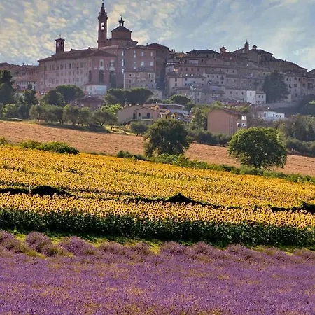리조트 Il Gallo Senone 세니갈리아