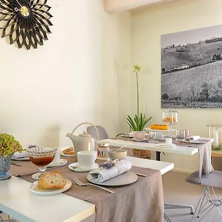 Il Gallo Senone 세니갈리아