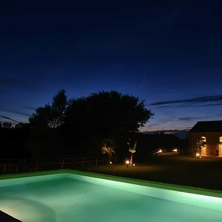 Il Gallo Senone 세니갈리아