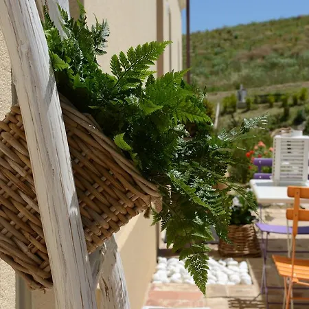 Il Gallo Senone 리조트 세니갈리아