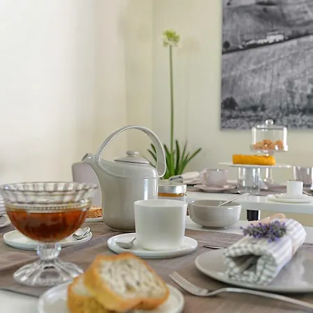 Il Gallo Senone 4* 세니갈리아