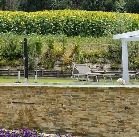 Il Gallo Senone 세니갈리아