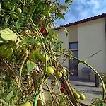 Il Gallo Senone Di Campagna Rezort 4*