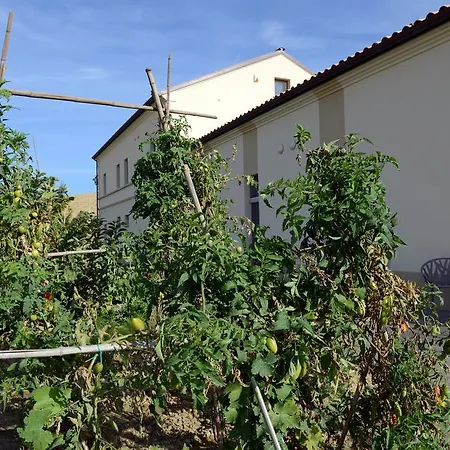 Il Gallo Senone Di Campagna 4* Senigallia