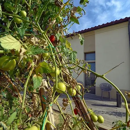 Il Gallo Senone Di Campagna Resort 4*
