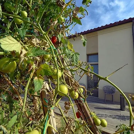 Il Gallo Senone Semesteranläggning (resort) 4*