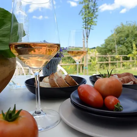 Il Gallo Senone 4* Senigallia