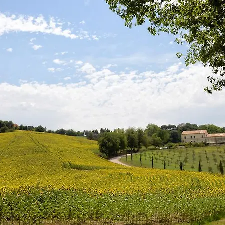 Il Gallo Senone Di Campagna Resort 4*