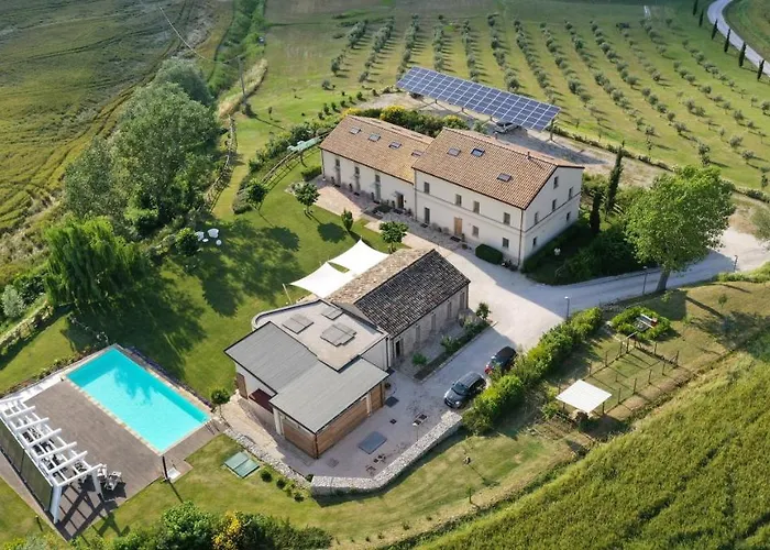 Il Gallo Senone Di Campagna Senigallia