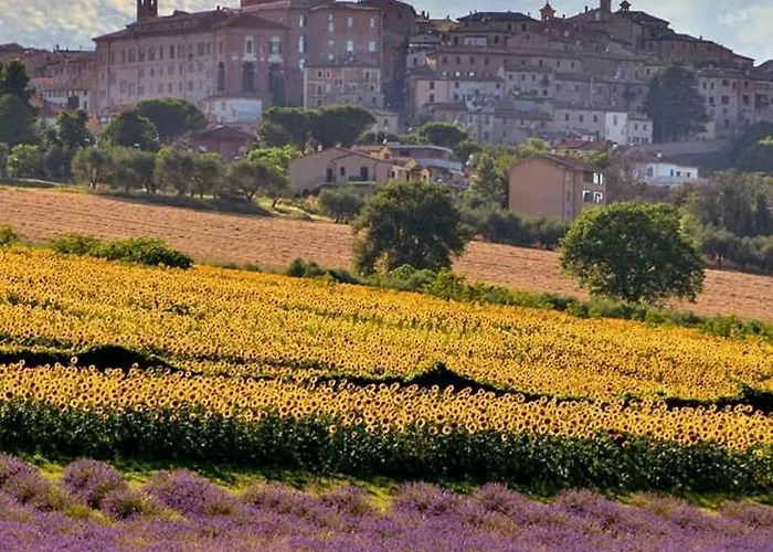 Resort Il Gallo Senone Di Campagna Senigallia
