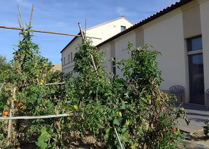 Il Gallo Senone Di Campagna 4* Σενιγκάλια