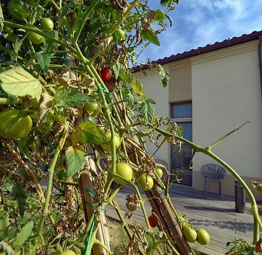 Il Gallo Senone Di Campagna Resort 4*