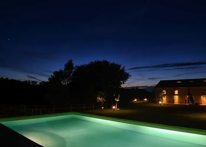 Il Gallo Senone Di Campagna Senigallia