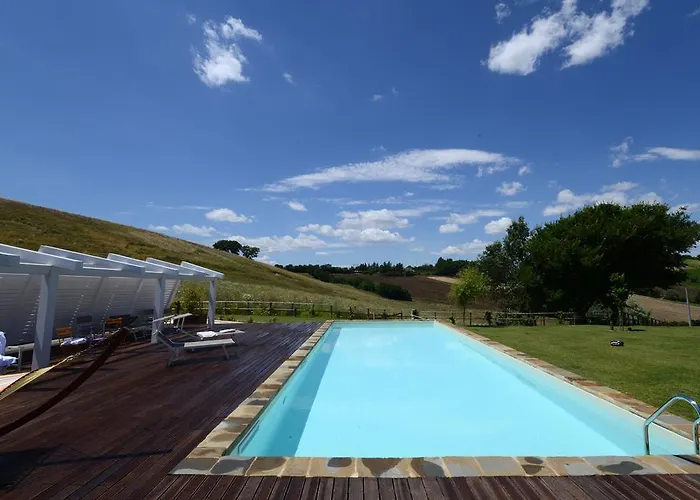 Il Gallo Senone Di Campagna