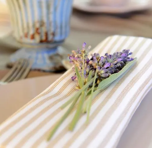 Il Gallo Senone Di Campagna 4* Senigallia