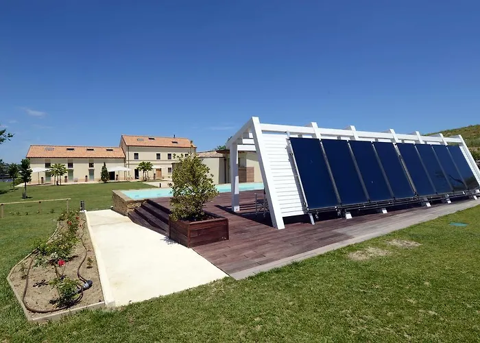 Il Gallo Senone Di Campagna