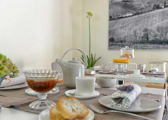 Il Gallo Senone Di Campagna 4* Senigallia