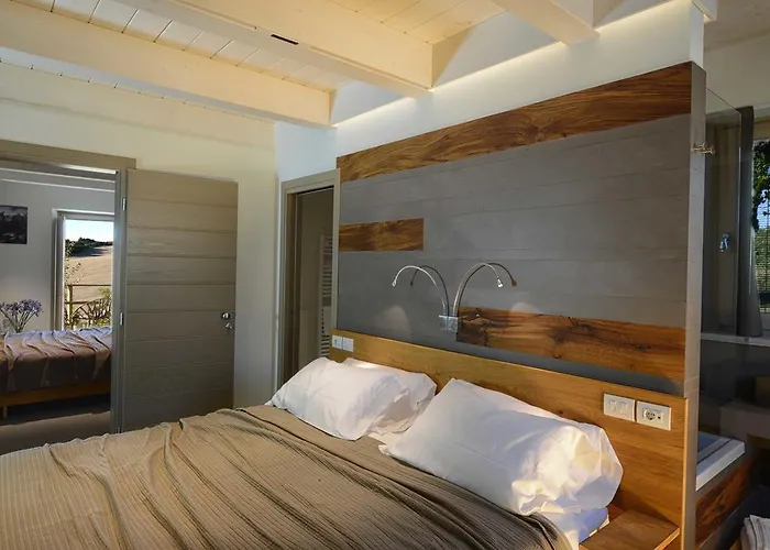 Il Gallo Senone Di Campagna