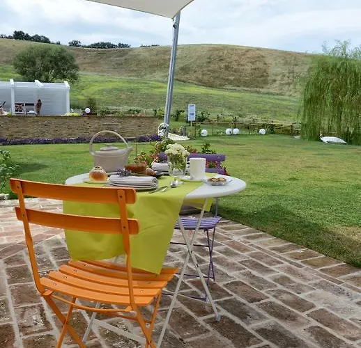 Il Gallo Senone Di Campagna 4*