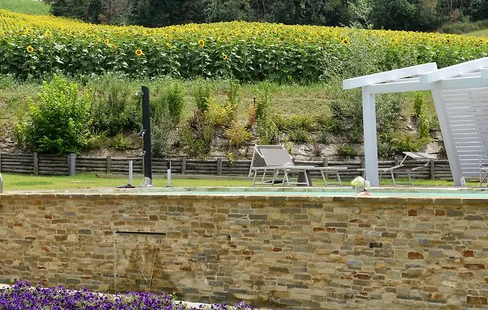 Il Gallo Senone Di Campagna Senigallia