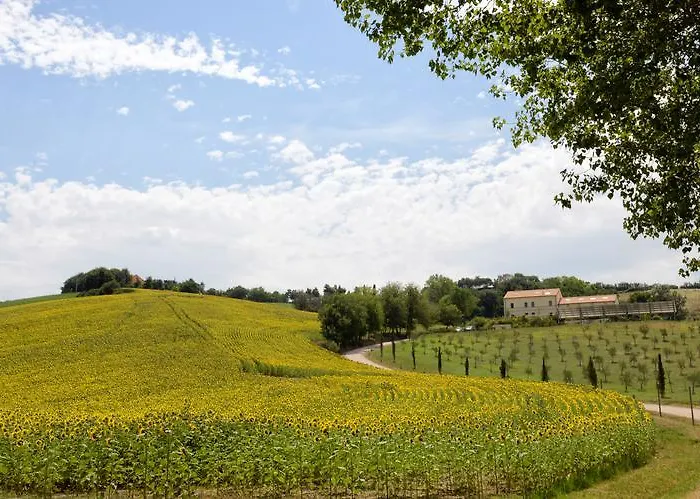 Il Gallo Senone Di Campagna Resort 4*